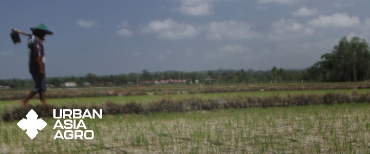 Petani padi harap kerajaan beri benih